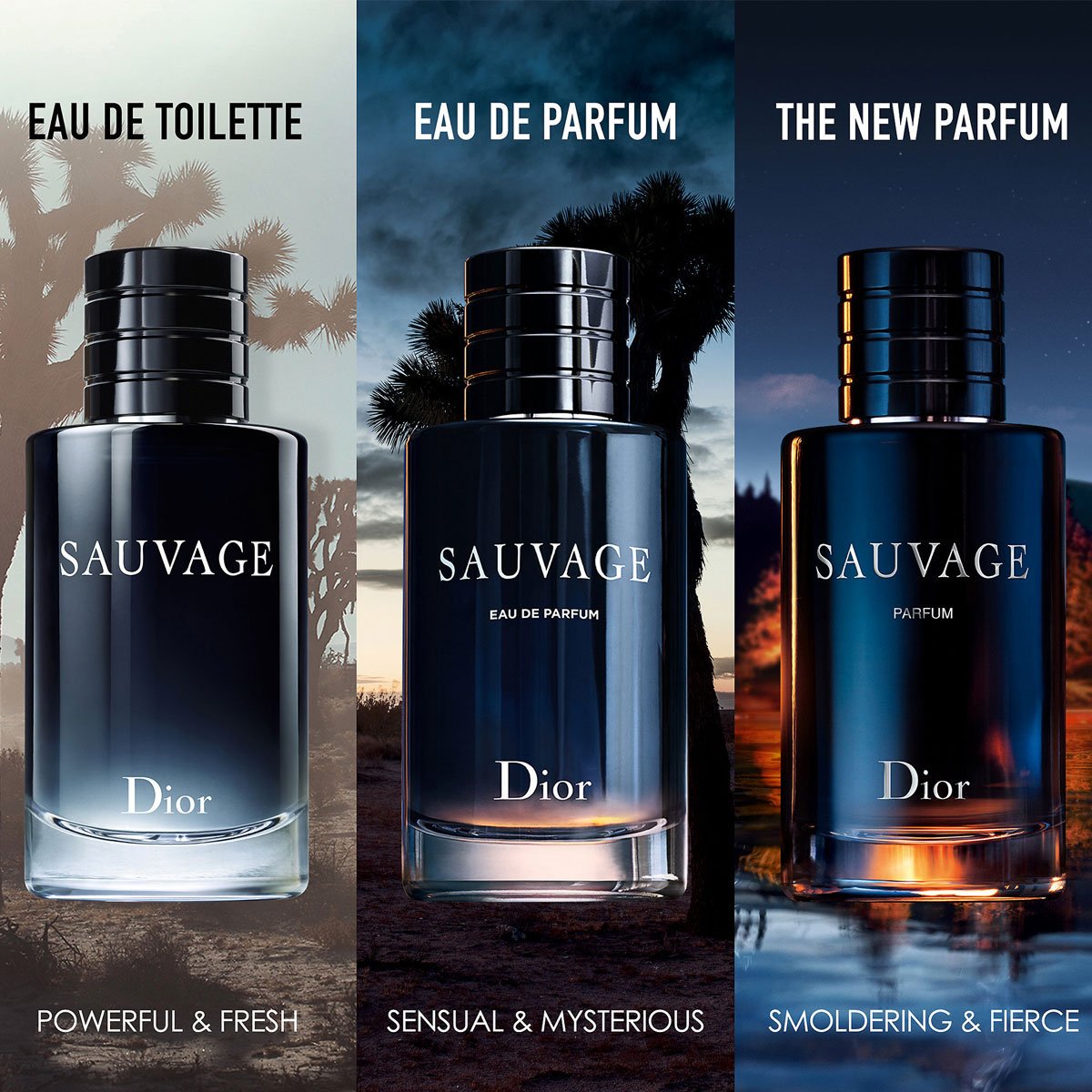 Review Nước hoa Dior Sauvage Parfum 2019 chính hãng